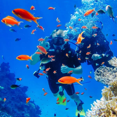 Sharm El Sheikh y Mar Rojo