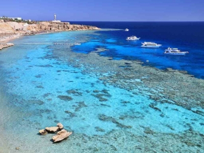 Ilha de Tiran