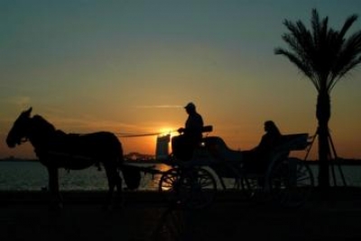 City Tour in Aswan by Horse-Drawn Carriage
